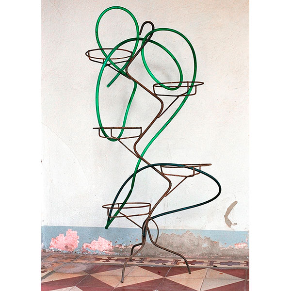 Laura Belém, Planta exótica, 2008,  fotografia, 50 × 75 cm